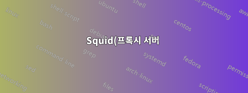 Squid(프록시 서버)가 포트 48512에서 수신 대기하는 이유는 무엇입니까?