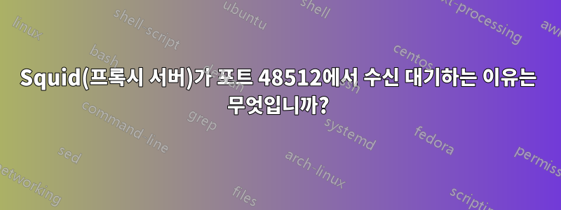 Squid(프록시 서버)가 포트 48512에서 수신 대기하는 이유는 무엇입니까?