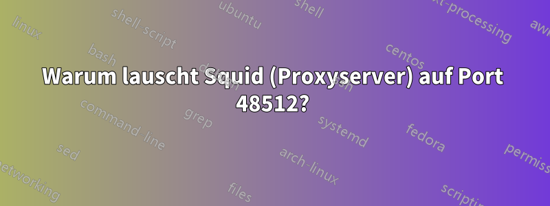 Warum lauscht Squid (Proxyserver) auf Port 48512?