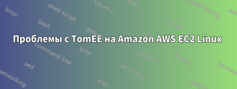 Проблемы с TomEE на Amazon AWS EC2 Linux