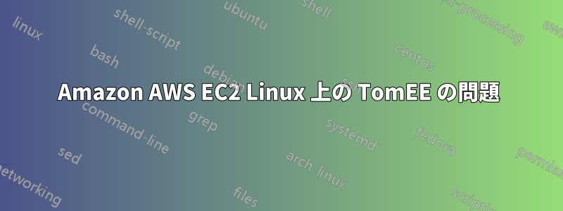 Amazon AWS EC2 Linux 上の TomEE の問題