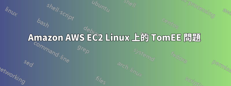 Amazon AWS EC2 Linux 上的 TomEE 問題