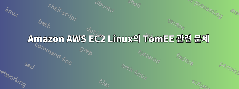 Amazon AWS EC2 Linux의 TomEE 관련 문제