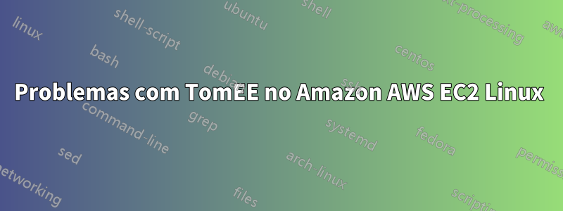 Problemas com TomEE no Amazon AWS EC2 Linux