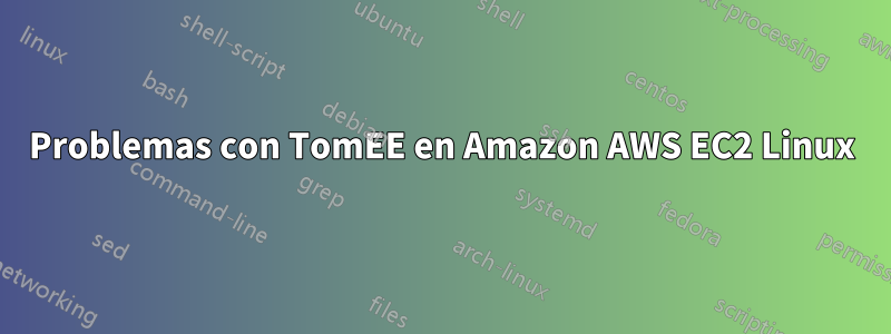 Problemas con TomEE en Amazon AWS EC2 Linux