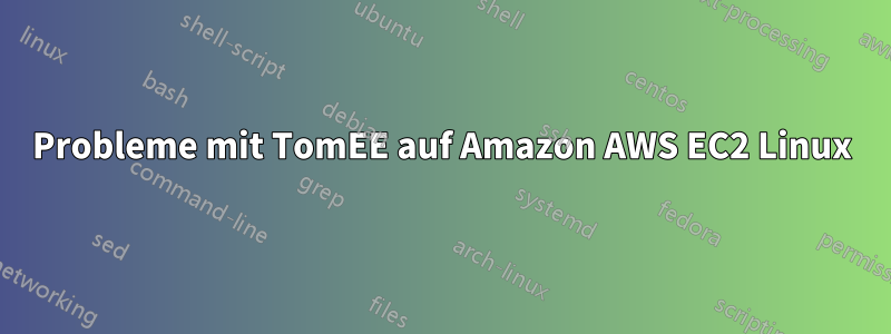 Probleme mit TomEE auf Amazon AWS EC2 Linux