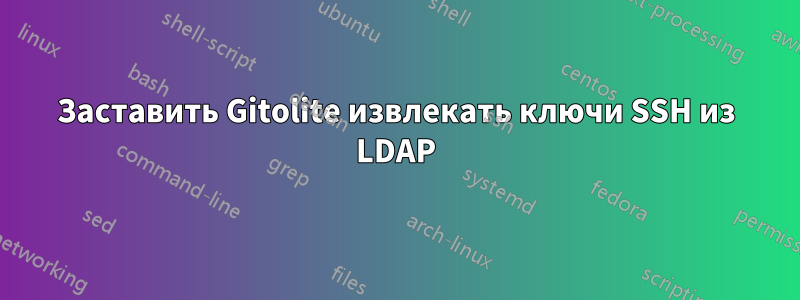 Заставить Gitolite извлекать ключи SSH из LDAP