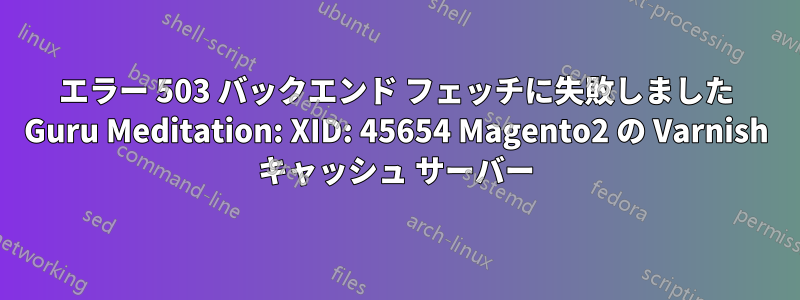 エラー 503 バックエンド フェッチに失敗しました Guru Meditation: XID: 45654 Magento2 の Varnish キャッシュ サーバー