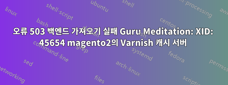 오류 503 백엔드 가져오기 실패 Guru Meditation: XID: 45654 magento2의 Varnish 캐시 서버