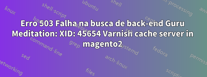 Erro 503 Falha na busca de back-end Guru Meditation: XID: 45654 Varnish cache server in magento2