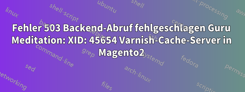 Fehler 503 Backend-Abruf fehlgeschlagen Guru Meditation: XID: 45654 Varnish-Cache-Server in Magento2