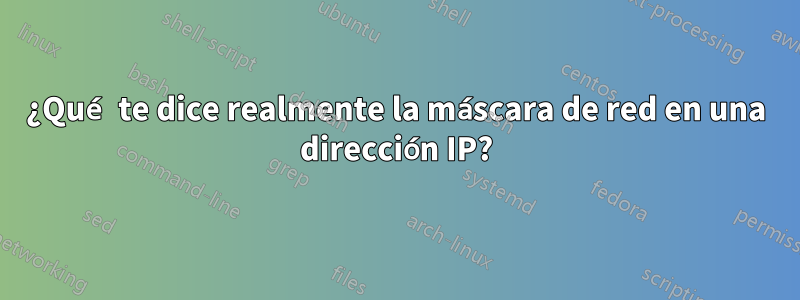 ¿Qué te dice realmente la máscara de red en una dirección IP?