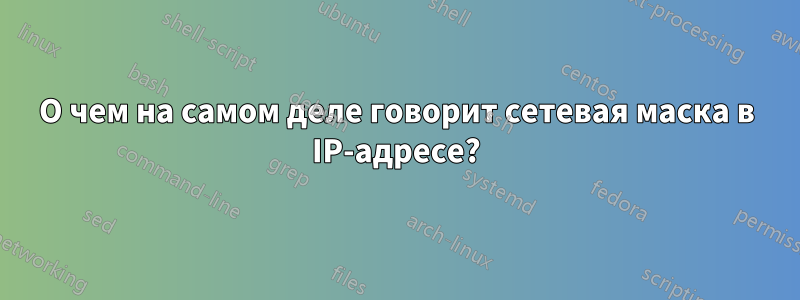 О чем на самом деле говорит сетевая маска в IP-адресе?