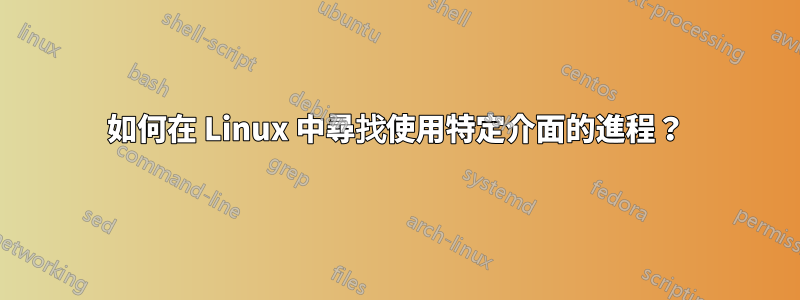 如何在 Linux 中尋找使用特定介面的進程？