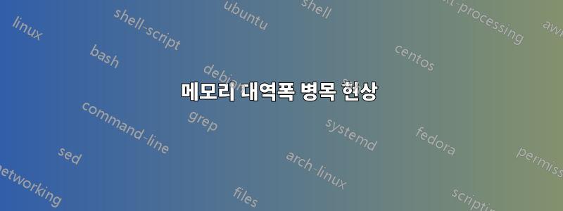 메모리 대역폭 병목 현상