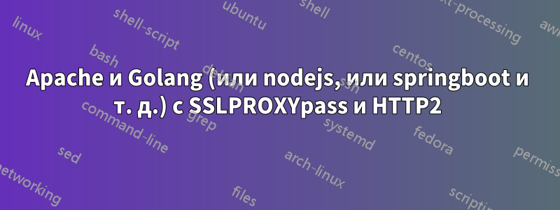 Apache и Golang (или nodejs, или springboot и т. д.) с SSLPROXYpass и HTTP2