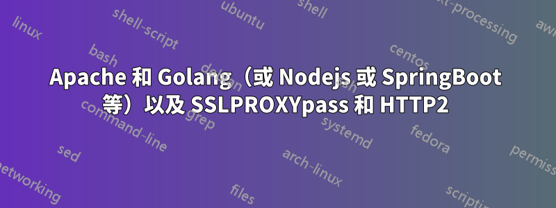 Apache 和 Golang（或 Nodejs 或 SpringBoot 等）以及 SSLPROXYpass 和 HTTP2