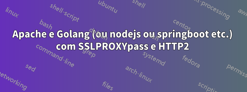 Apache e Golang (ou nodejs ou springboot etc.) com SSLPROXYpass e HTTP2