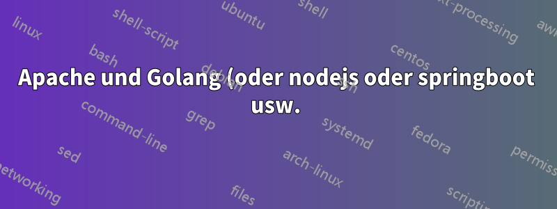 Apache und Golang (oder nodejs oder springboot usw.) mit SSLPROXYpass und HTTP2