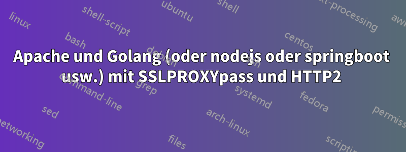 Apache und Golang (oder nodejs oder springboot usw.) mit SSLPROXYpass und HTTP2