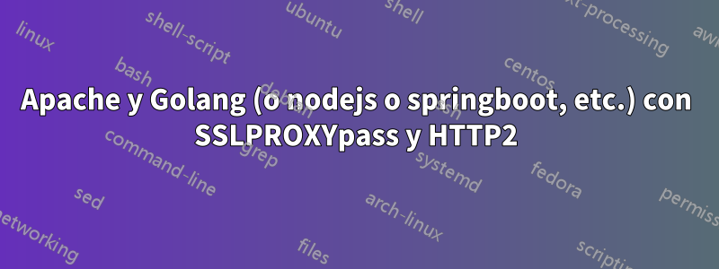 Apache y Golang (o nodejs o springboot, etc.) con SSLPROXYpass y HTTP2