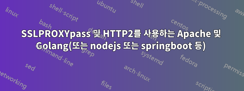 SSLPROXYpass 및 HTTP2를 사용하는 Apache 및 Golang(또는 nodejs 또는 springboot 등)