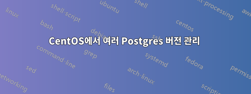 CentOS에서 여러 Postgres 버전 관리