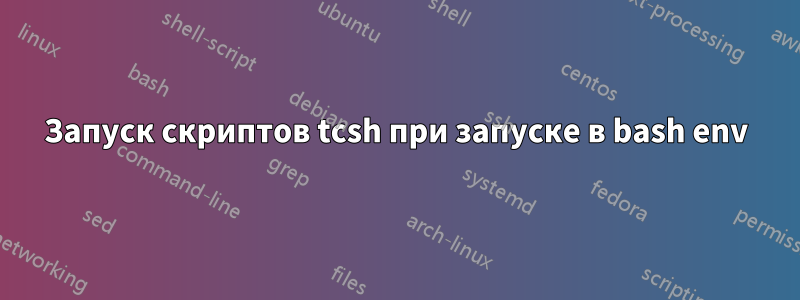 Запуск скриптов tcsh при запуске в bash env