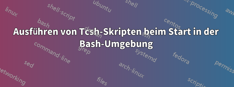 Ausführen von Tcsh-Skripten beim Start in der Bash-Umgebung