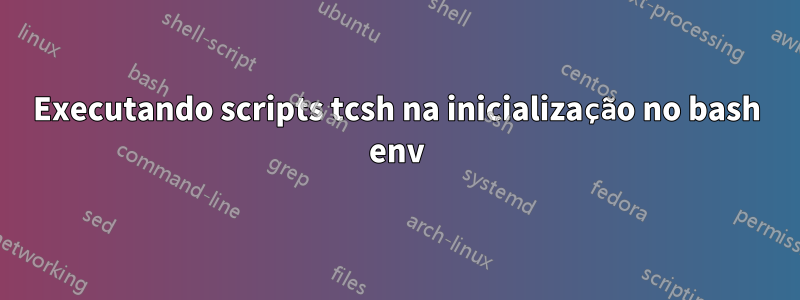 Executando scripts tcsh na inicialização no bash env