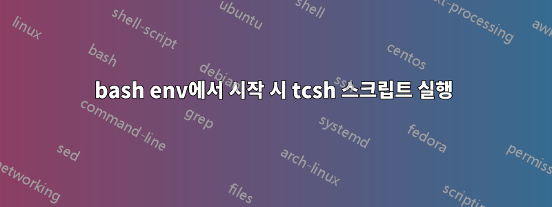 bash env에서 시작 시 tcsh 스크립트 실행