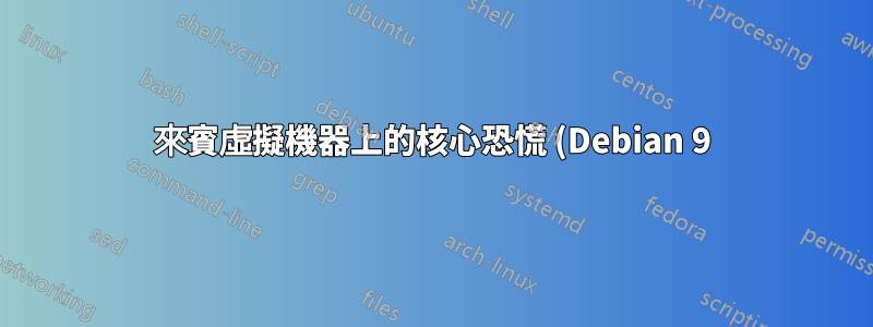 來賓虛擬機器上的核心恐慌 (Debian 9)