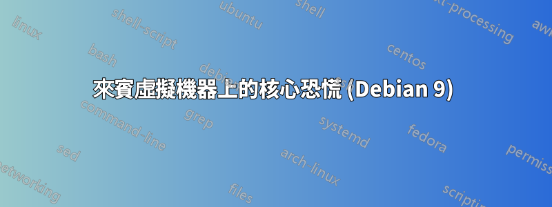 來賓虛擬機器上的核心恐慌 (Debian 9)