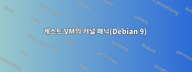 게스트 VM의 커널 패닉(Debian 9)