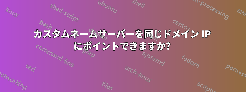 カスタムネームサーバーを同じドメイン IP にポイントできますか?