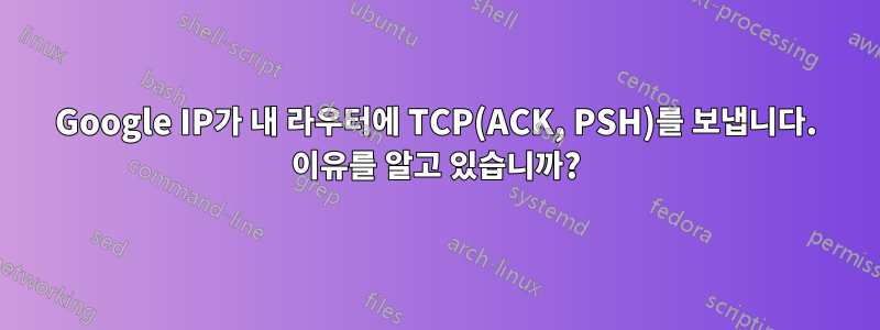 Google IP가 내 라우터에 TCP(ACK, PSH)를 보냅니다. 이유를 알고 있습니까?