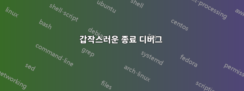 갑작스러운 종료 디버그