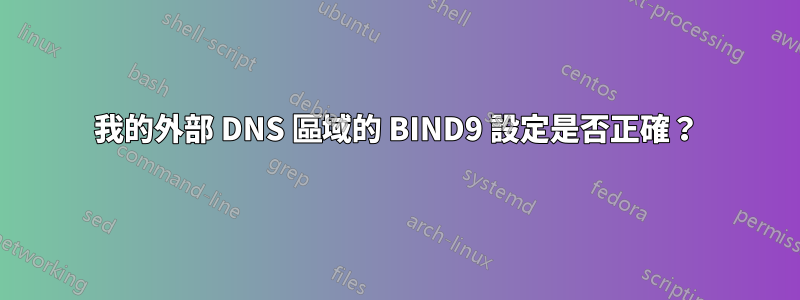 我的外部 DNS 區域的 BIND9 設定是否正確？