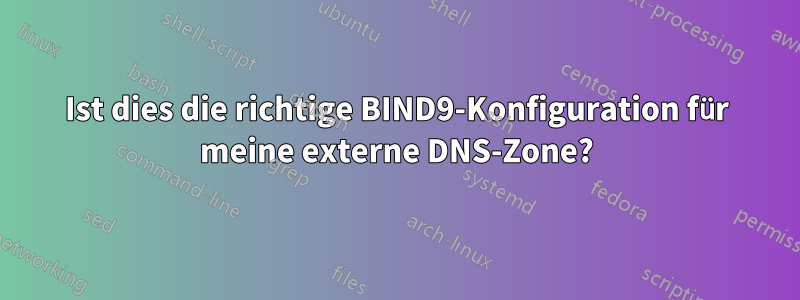 Ist dies die richtige BIND9-Konfiguration für meine externe DNS-Zone?