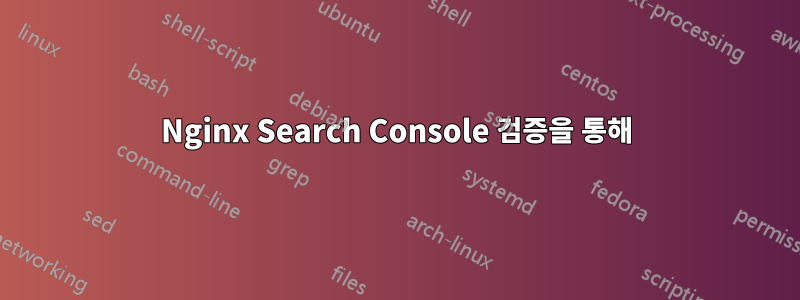 Nginx Search Console 검증을 통해