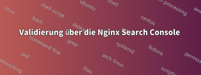 Validierung über die Nginx Search Console