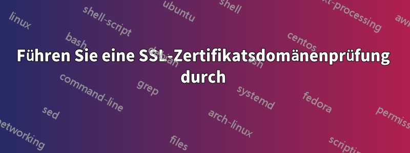 Führen Sie eine SSL-Zertifikatsdomänenprüfung durch