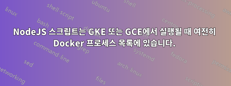 NodeJS 스크립트는 GKE 또는 GCE에서 실행될 때 여전히 Docker 프로세스 목록에 있습니다.