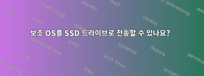 보조 OS를 SSD 드라이브로 전송할 수 있나요? 