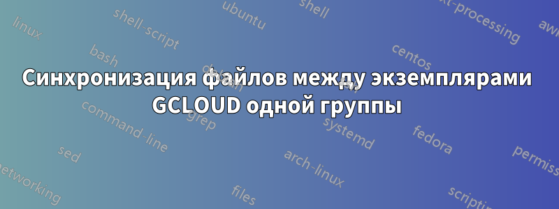 Синхронизация файлов между экземплярами GCLOUD одной группы