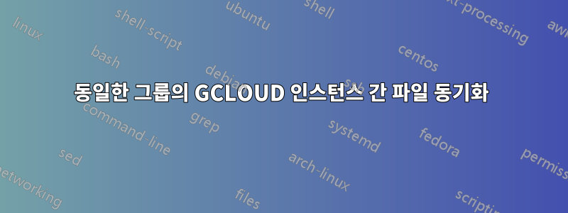 동일한 그룹의 GCLOUD 인스턴스 간 파일 동기화
