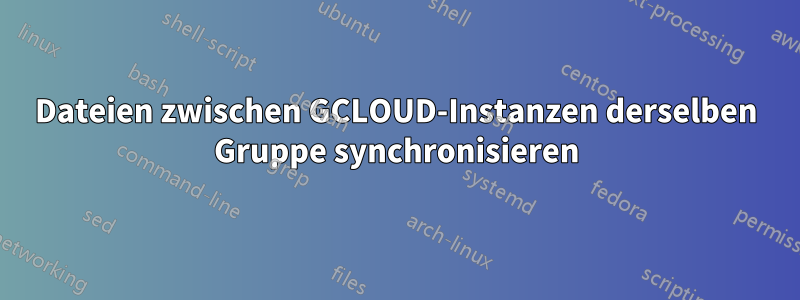 Dateien zwischen GCLOUD-Instanzen derselben Gruppe synchronisieren