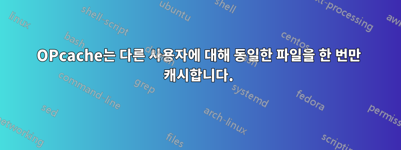 OPcache는 다른 사용자에 대해 동일한 파일을 한 번만 캐시합니다.