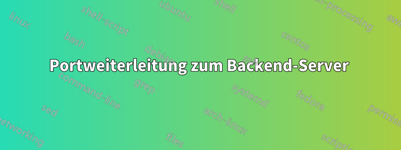 Portweiterleitung zum Backend-Server