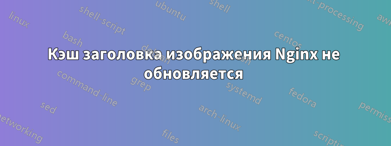 Кэш заголовка изображения Nginx не обновляется
